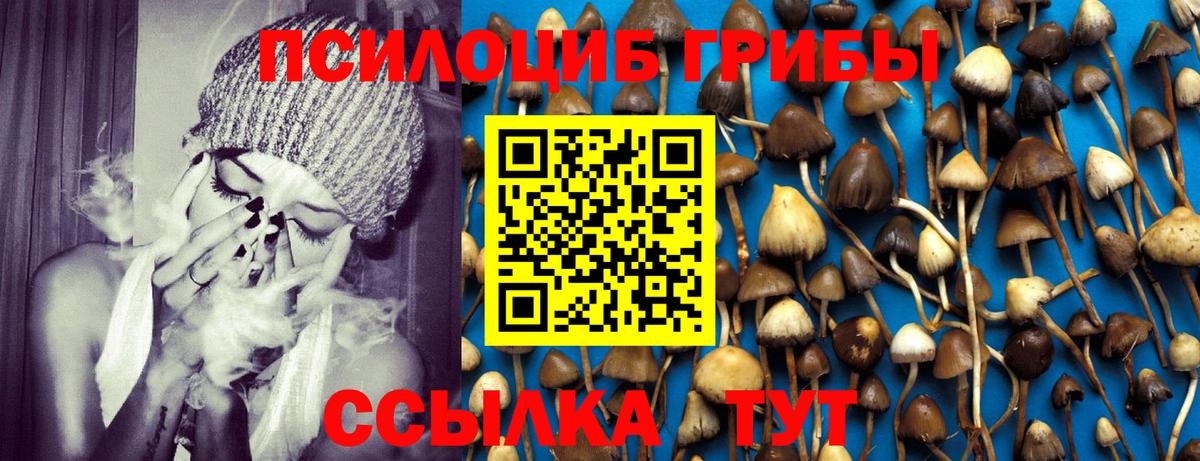 Урус-Мартан  Галлюциногенные грибы MAGIC MUSHROOMS  Псилоцибиновые грибы Cubensis  Вход с VPN 
